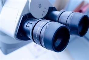 Picture of the lenses of a microscope