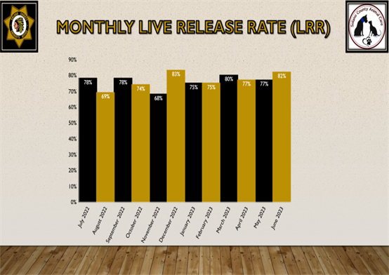 Monthly Live Release Rate Statistics