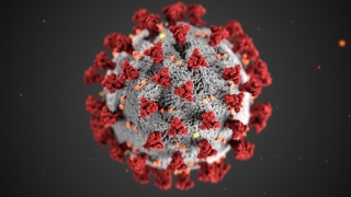 Electron microscopic view of a coronavirus and its morphology.